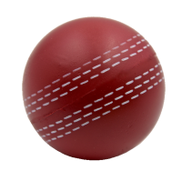 MSP-021 Cricket Ball